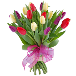 Bukiet zawrót głowy